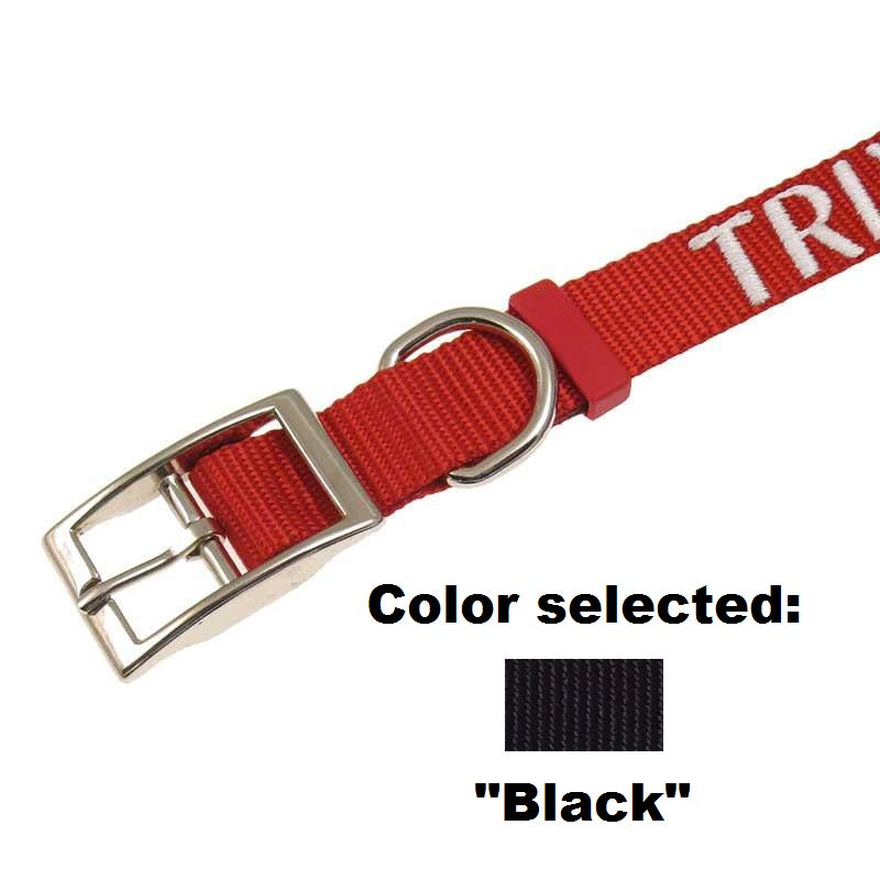 Dog Collar - 1" Width - Personalized Embroidery (Traditional Style)