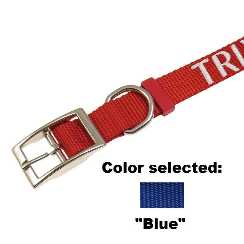 Dog Collar - 1" Width - Personalized Embroidery (Traditional Style)