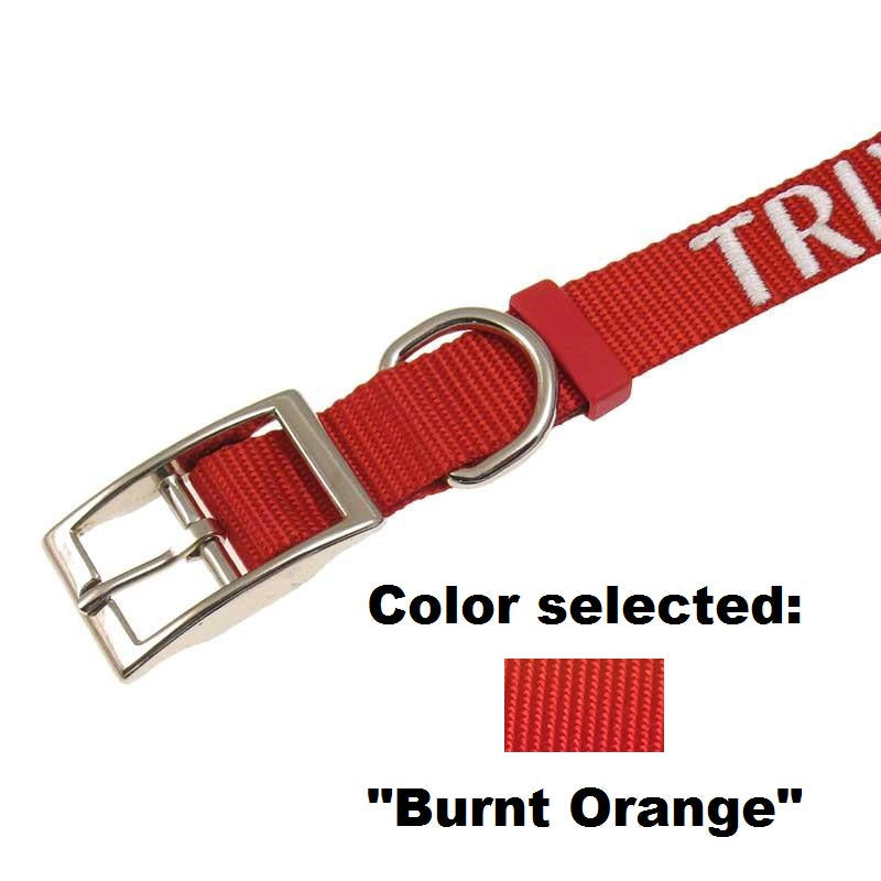 Dog Collar - 1" Width - Personalized Embroidery (Traditional Style)