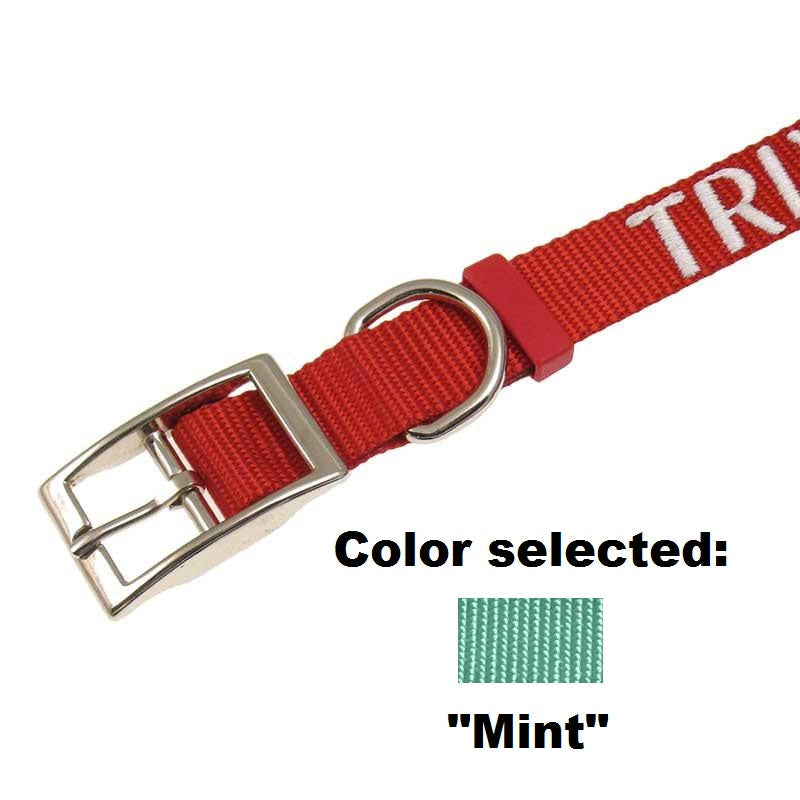 Dog Collar - 1" Width - Personalized Embroidery (Traditional Style)