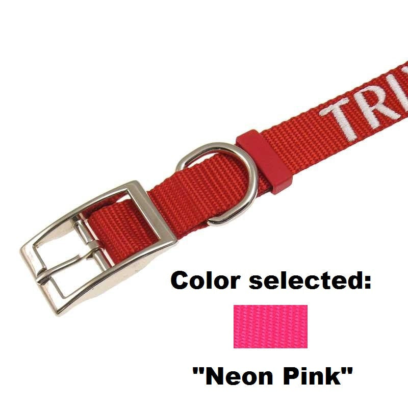 Dog Collar - 1" Width - Personalized Embroidery (Traditional Style)