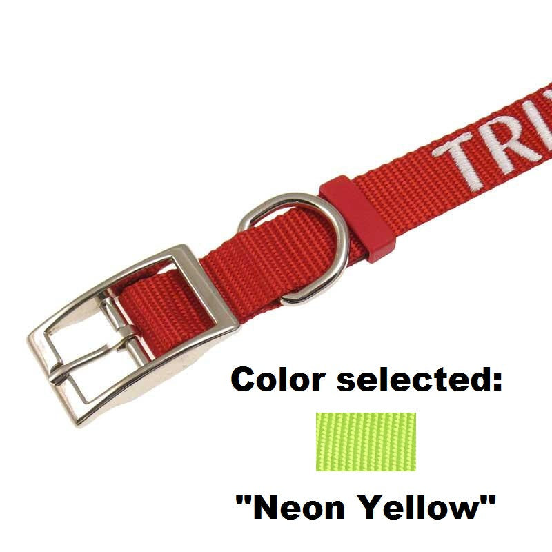 Dog Collar - 1" Width - Personalized Embroidery (Traditional Style)