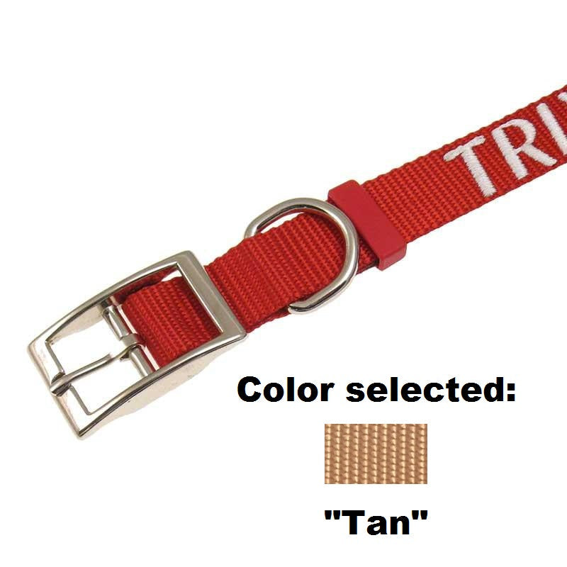 Dog Collar - 1" Width - Personalized Embroidery (Traditional Style)