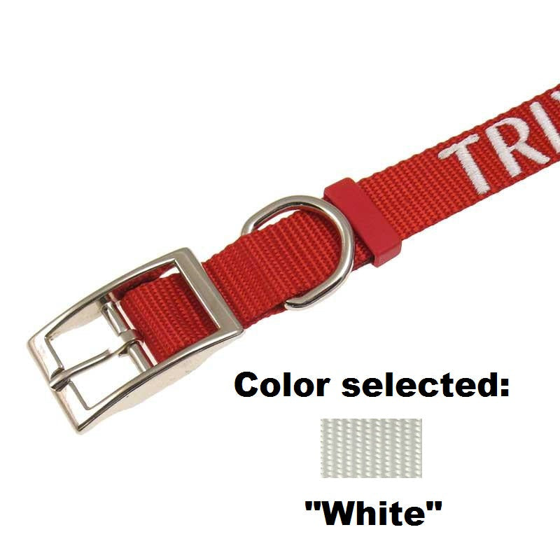 Dog Collar - 1" Width - Personalized Embroidery (Traditional Style)