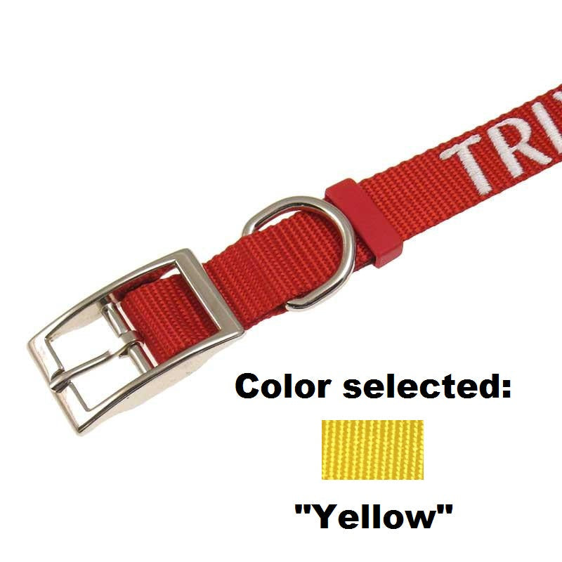 Dog Collar - 1" Width - Personalized Embroidery (Traditional Style)