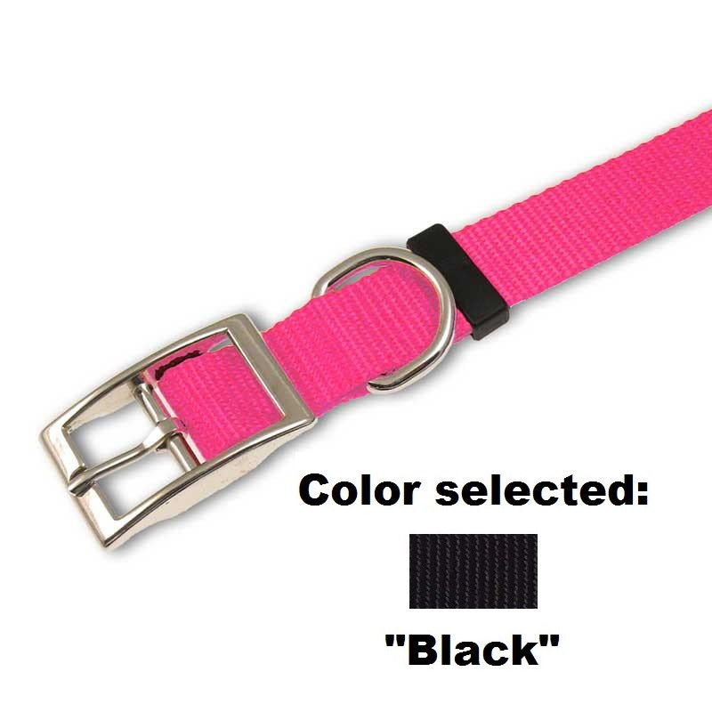 Traditional Dog Collar - 1" Width