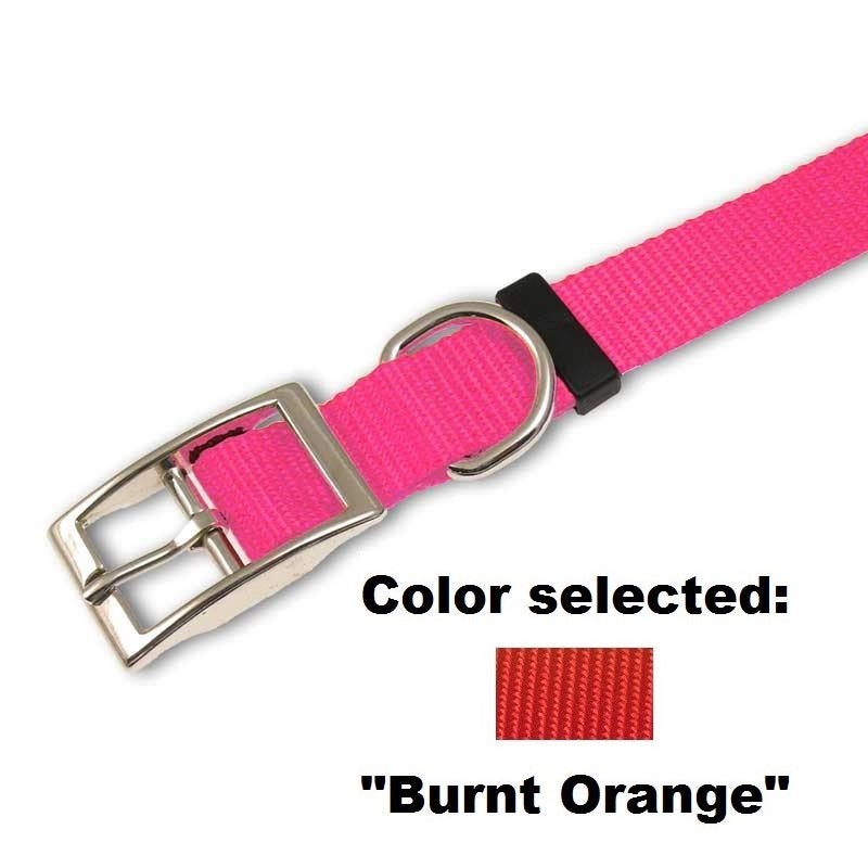 Traditional Dog Collar - 1" Width