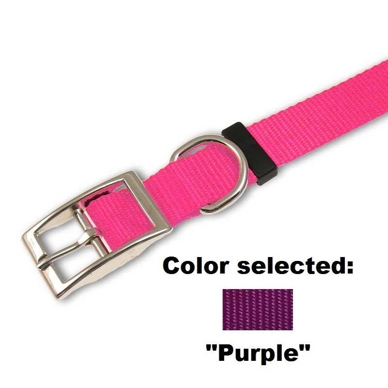 Traditional Dog Collar - 1" Width