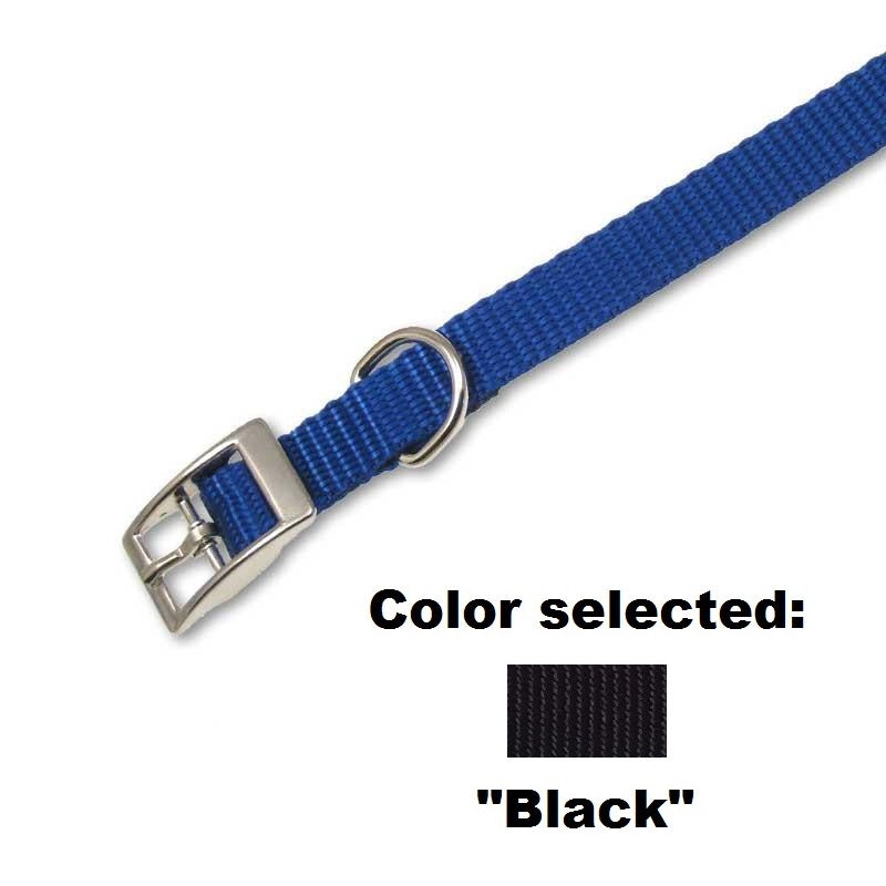 Traditional Collar - 5/8" Width