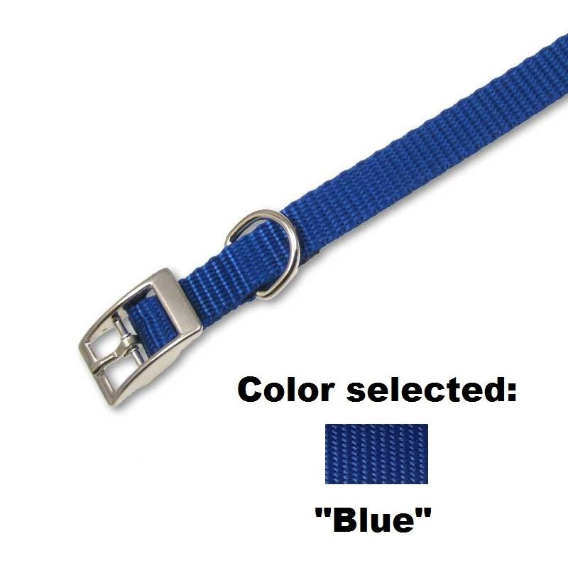 Traditional Collar - 5/8" Width