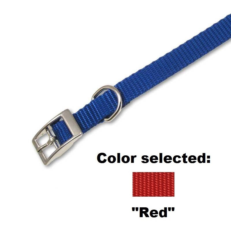 Traditional Collar - 5/8" Width