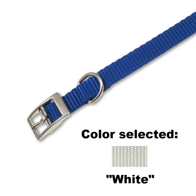 Traditional Collar - 5/8" Width